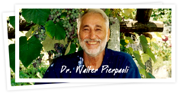 Dottor Pierpaoli